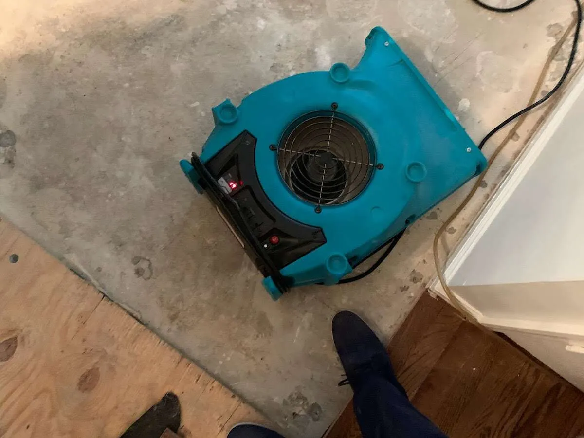 Air mover drying subfloor during Leak Detection & Repair in Mendota